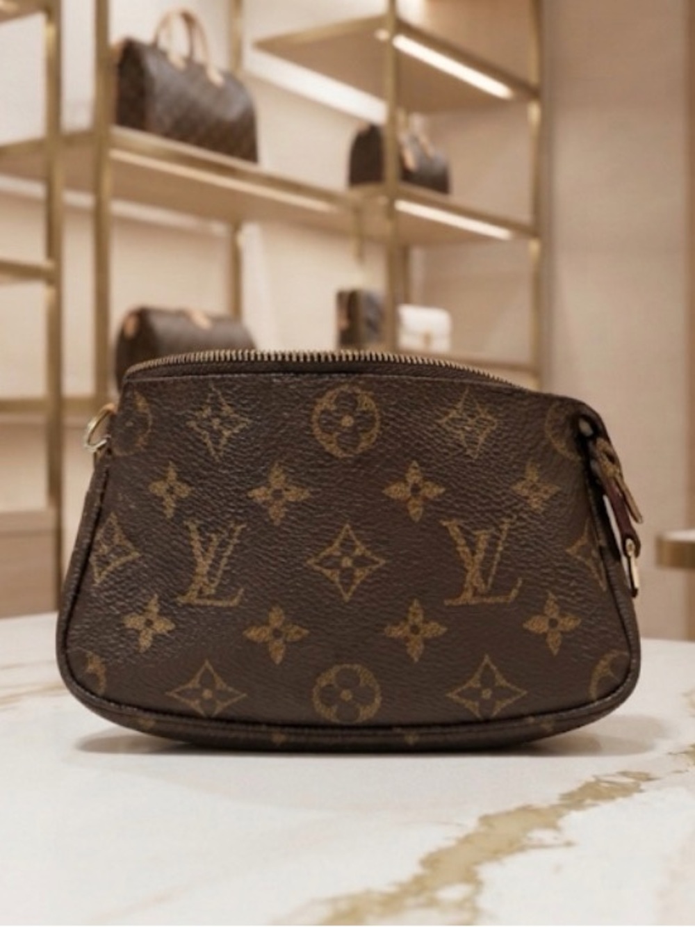 AUTHENTIC Louis Vuitton Monogram LV logo Pouch PM — purse bag